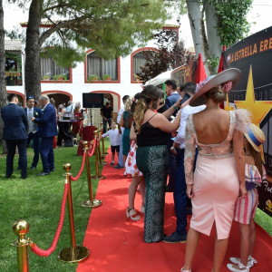 SHOW ALFOMBRA ROJA HOLLIWOOD